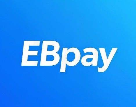 ebpay官网界面说明图